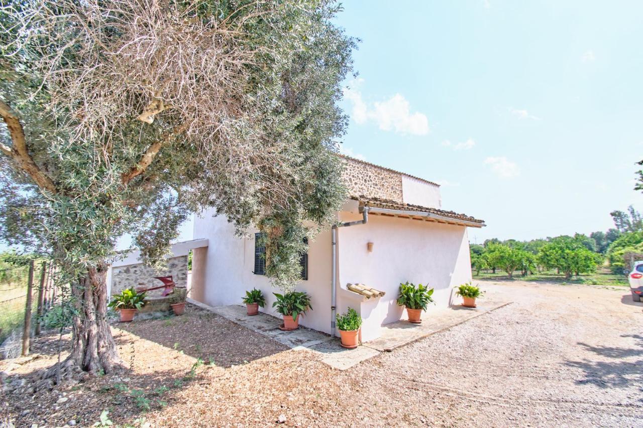 Villa Son Bennassar Инка Екстериор снимка